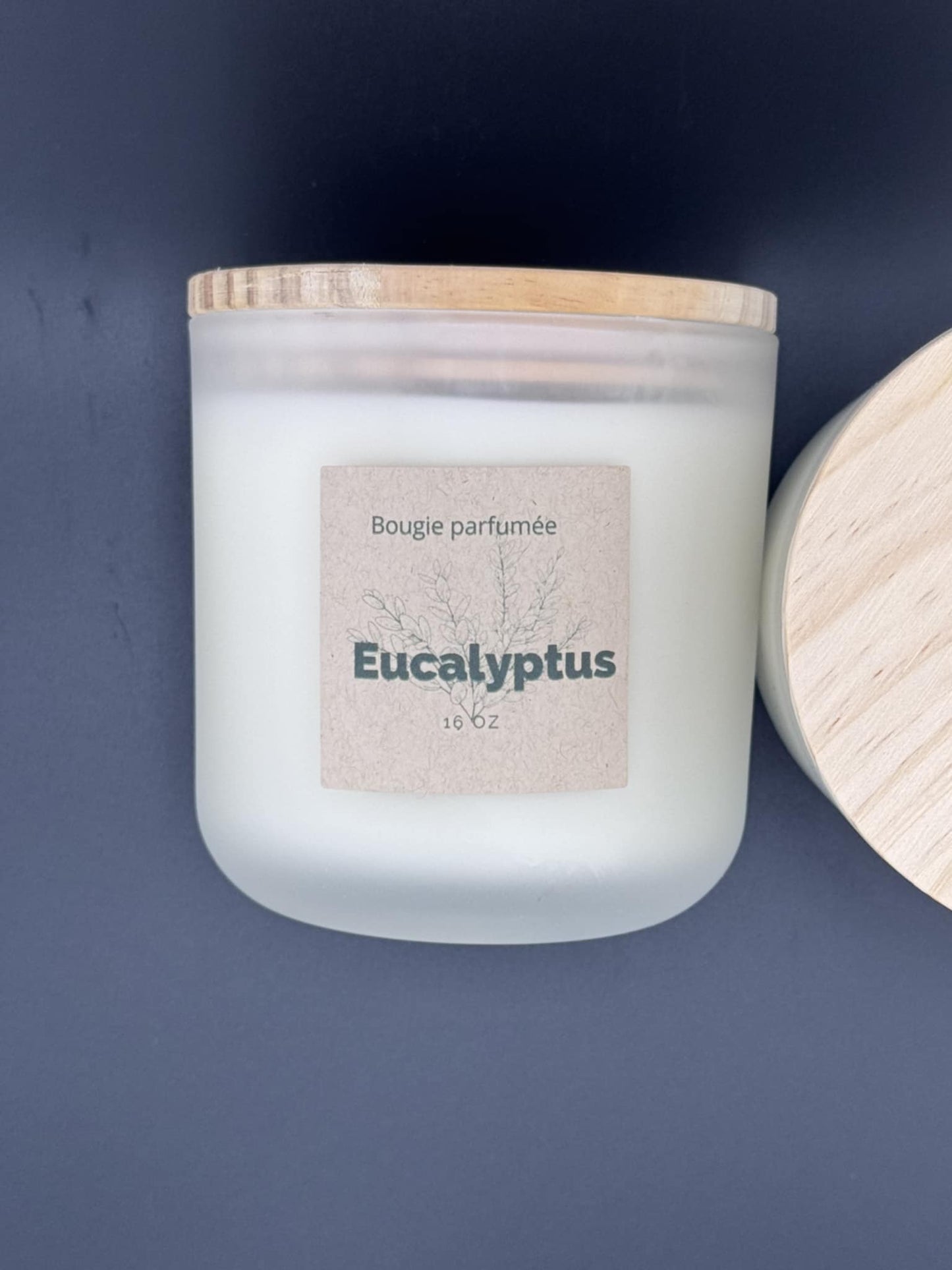 Chandelle Eucalyptus