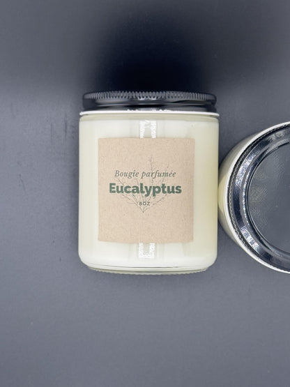 Chandelle Eucalyptus